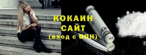 шишки Абаза