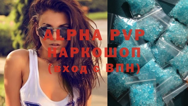 шишки Абаза