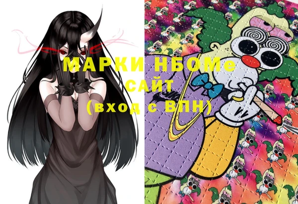 шишки Абаза