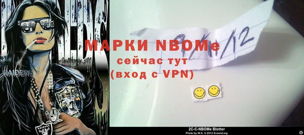 шишки Абаза