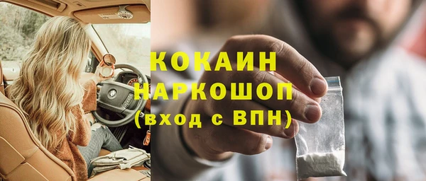 шишки Абаза
