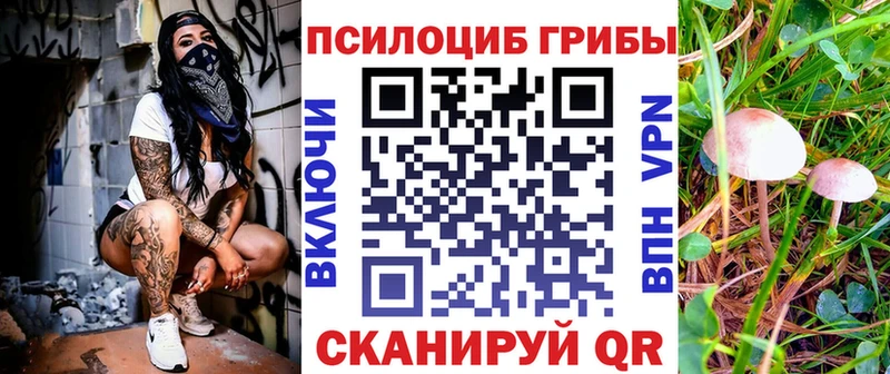 Псилоцибиновые грибы Psilocybine cubensis  Кораблино 